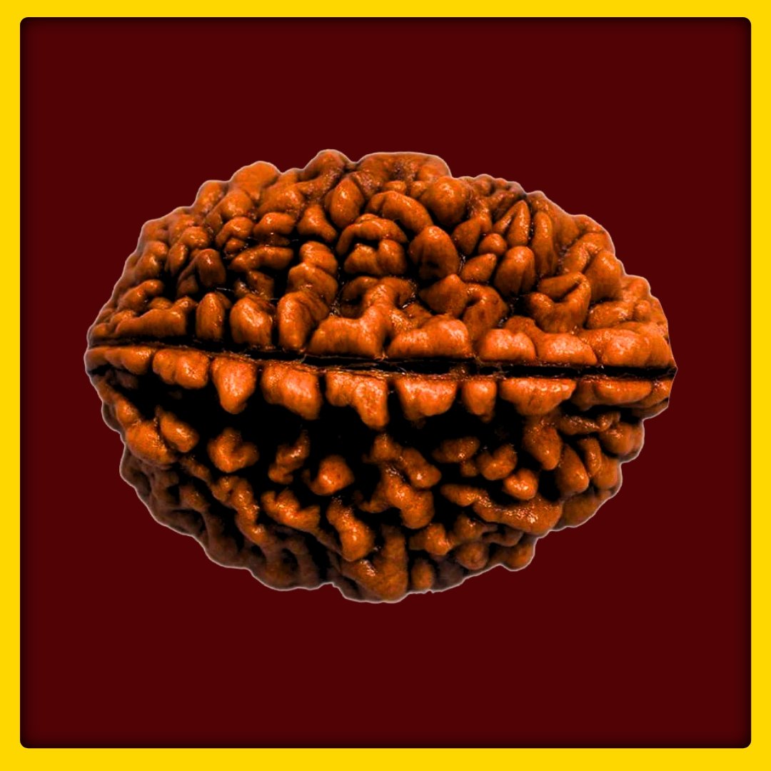 SDRPROD98931 - 1763640130.jpg